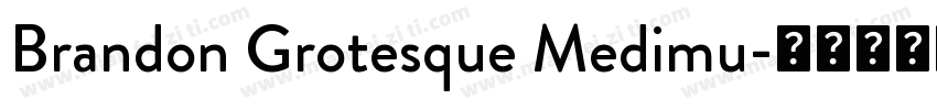 Brandon Grotesque Medimu字体转换